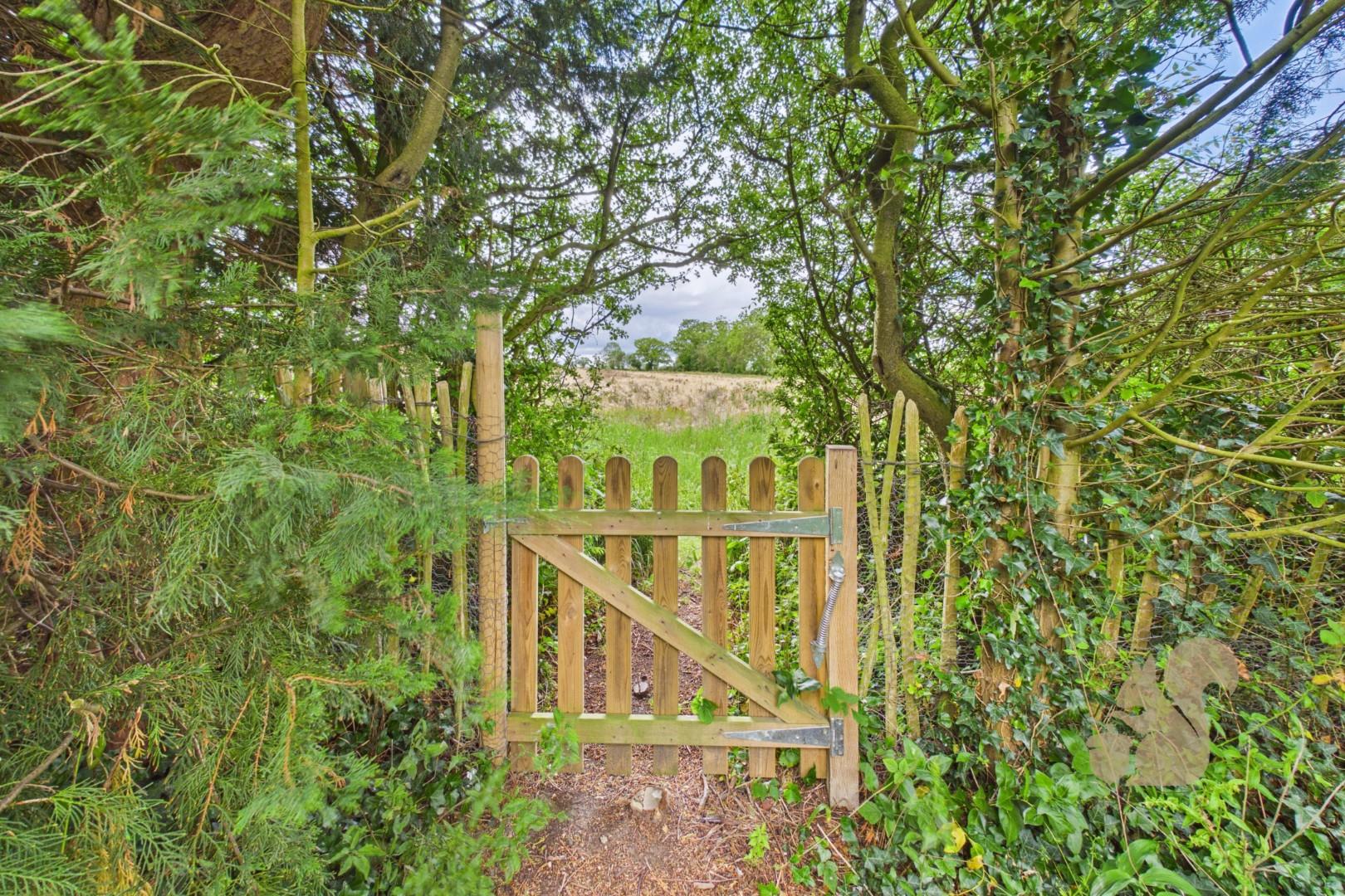 Views From The Garden